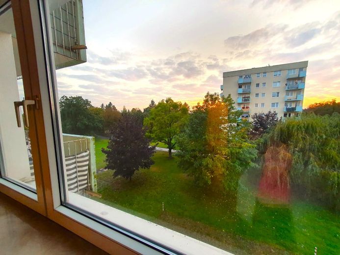 Ausblick