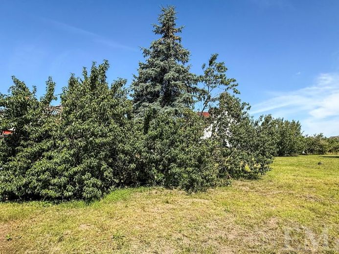 Großzügiges Baugrundstück mit Bauvorbescheid in begehrter Wohnlage -RESERVIERT- – Foto 1