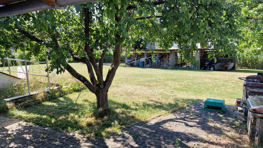 3 Familienhaus / sehr günstig von Privat zu verkaufen – Foto 22