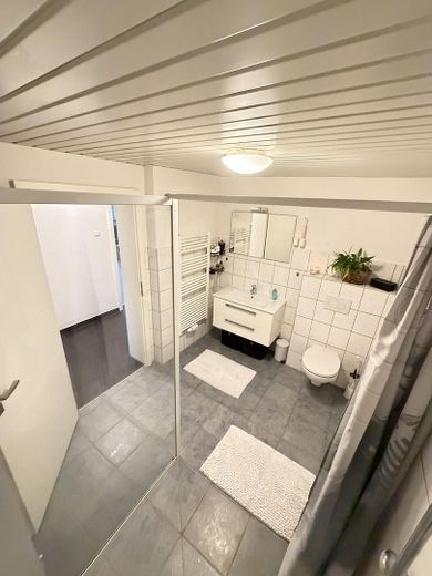 begehbare Dusche mit WC EG