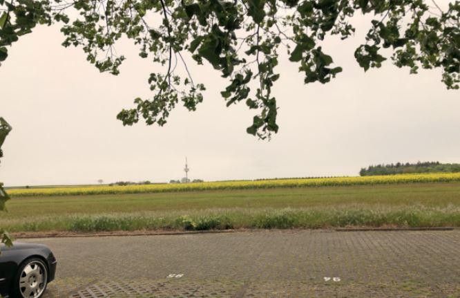 1-Zimmer-Appartement mit Küche und Stellplatz – direkt an Mainzer Stadtgrenze – Foto 19