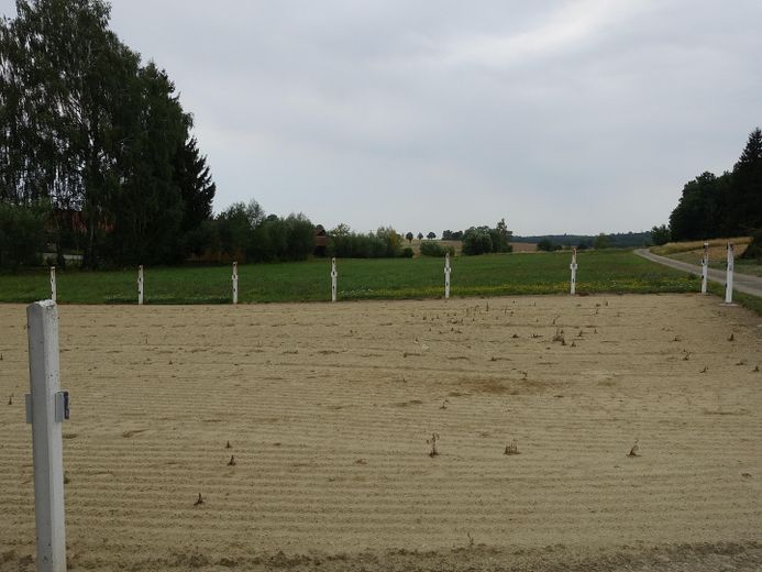Großzügiger Bungalow auf weitläufigem Grundstück – und optionaler Pferdehaltung – Foto 29