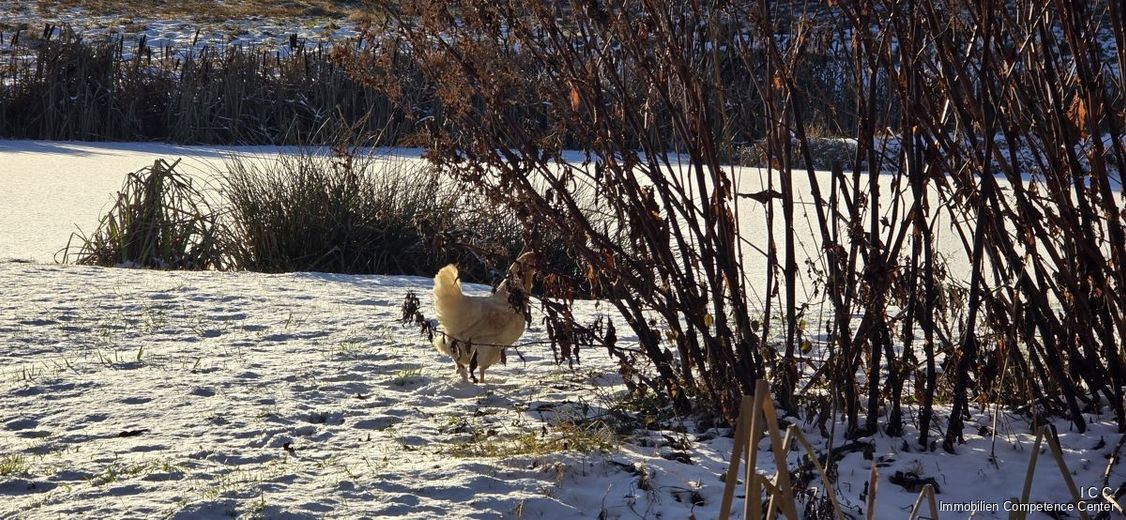 "Das Haus am See" - traumhafter Landsitz 
und Refugium eines namhaften Künstlers 
dessen Dreiseithof mit Weitblick - im Rottal – Besuch bei Johannes Hoffrohne am 4. Januar 2026