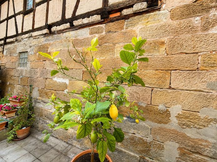Historisches Wohn- und Geschäftshaus (teilsaniert) - außergewöhnliches Potenzial im Herzen Eberns – Mediteranes Flair im Innenhof
