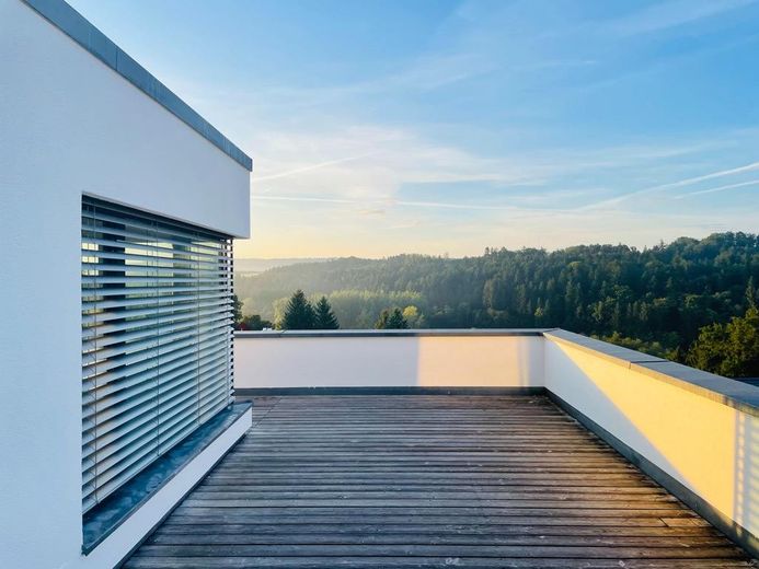 Fernblick Dachterrasse  