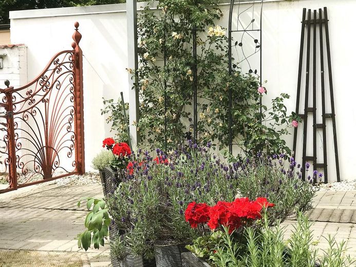 Eingang zum Grundstück