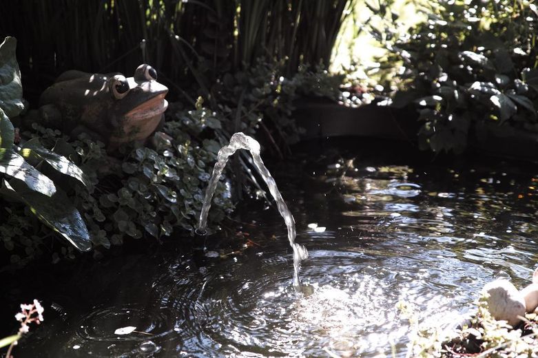 Vogelbad mit Wasserbrunnen