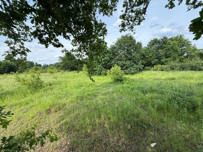 MAKLERFREI Projektstart sofort möglich: ca. 7.000 m² Gewerbegrundstück mit erteilter Baugenehmigung – Foto 16