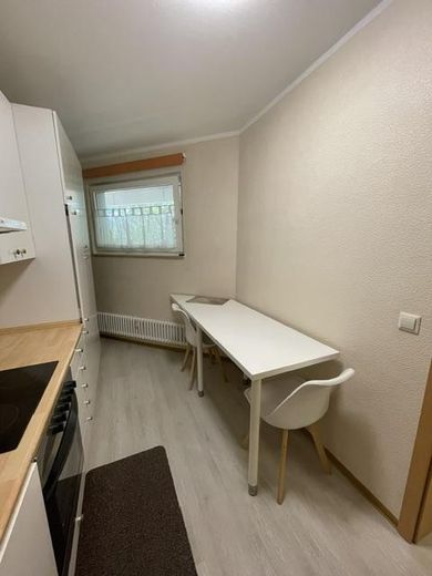 Monolocale completamente arredato a Wiesbaden-Biebrich – Küche
