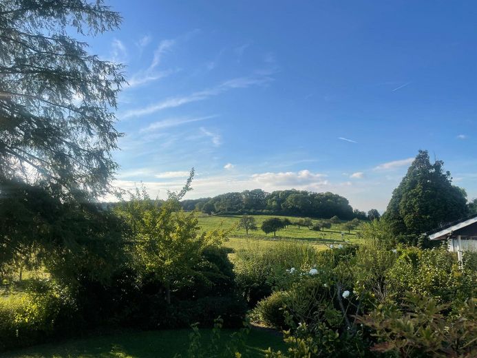 Blick aus dem Garten 
