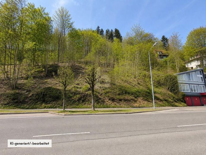 BAUEN MIT AUSSICHT UND FREIRAUM – Foto 1