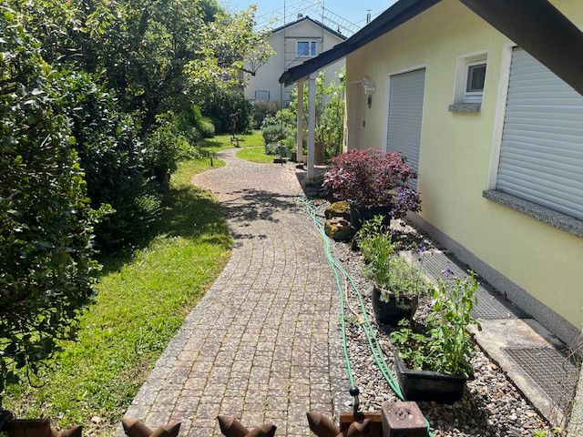 Eingangsbereich Garten