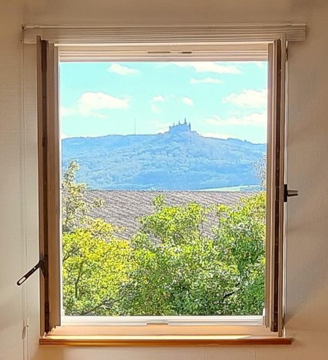 Hohenzoller aus dem Wohnzimmer