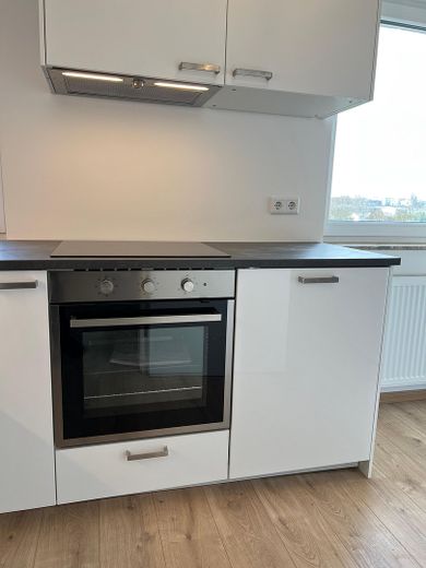 Backofen, Induktionsfeld