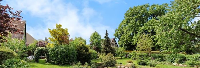 Großzügiges Grundstück in grüner Lage von Altdorf