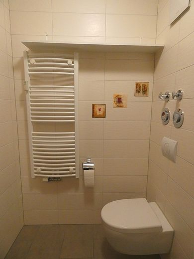 Attraktive und ruhige Wohnung in 95138 Bad Steben. – Duschbad 3
