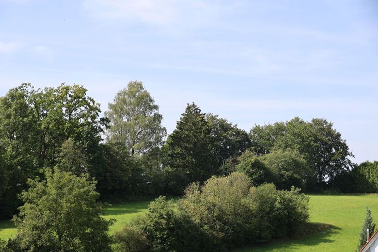 Ausblick Südseite