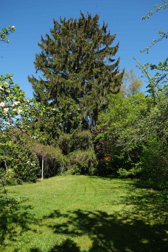 Grundstück mit Steinbungalow – Grundstück