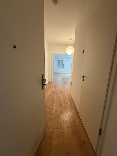 NEU modernisierte 2 Zimmer Wohnung mit Einbauküche – Eingangstür mit Flur