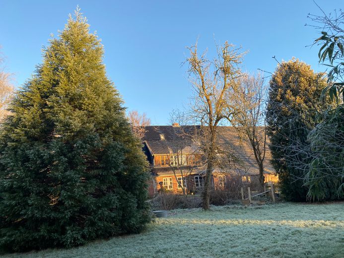 Traumgrundstück mit großem Resthof – Foto 1