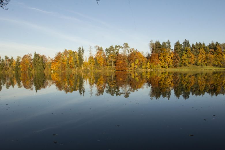 Hochparterre mit ca. 85 m² plus Gartenanteil – barrierearm wohnen zwischen Isar und Alpen – Isar Bad Tölz im Herbst