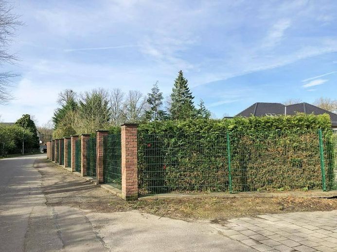Strassenansicht/Einfahrt 