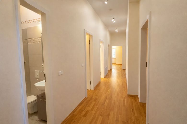 Herrschaftliche Hochparterrewohnung mit Terrasse, Kamin, Carport, in ruhiger Lage – Flur
