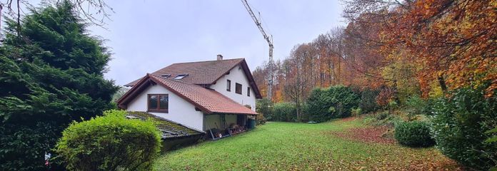 Wiese hinterm Haus