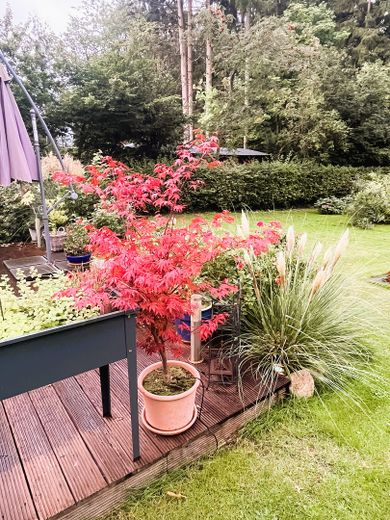 Terrasse Sommer II