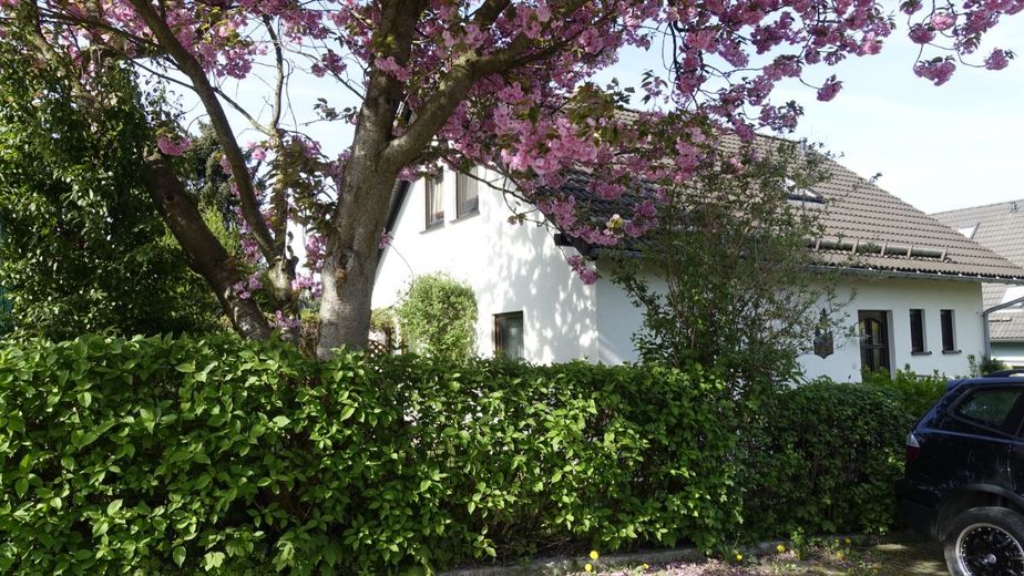 Großzügiges Familiendomizil in Zwönitz: Gepflegtes 6-Zimmer-Einfamilienhaus mit Kamin, Terrasse &amp; Keller – _DSC1859