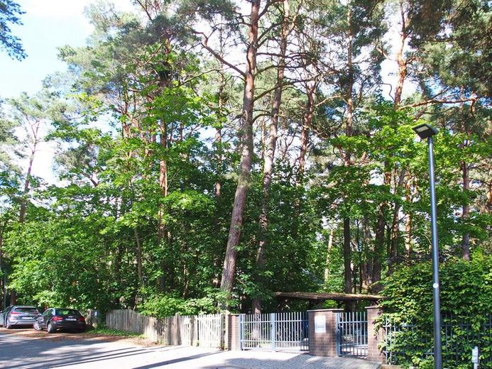 Schildow, Tschaikowskistraße, Komponistenquartier, provisionsfrei – Grundstück Blick von rechts