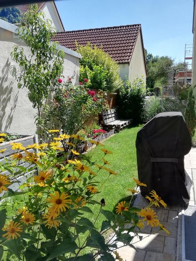 ruhige Gartenwohnung inkl. großen Hobbyraum – Garten Blick Richtung Süden
