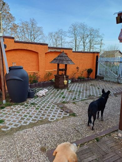 Bild 14