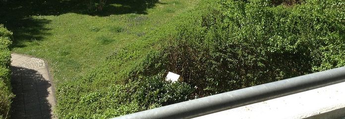 Vermiete Wohnung 75 qm neben Giesing Bahnhofsplatz
