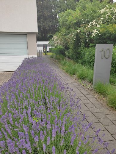 Zugang von der Berliner Straße