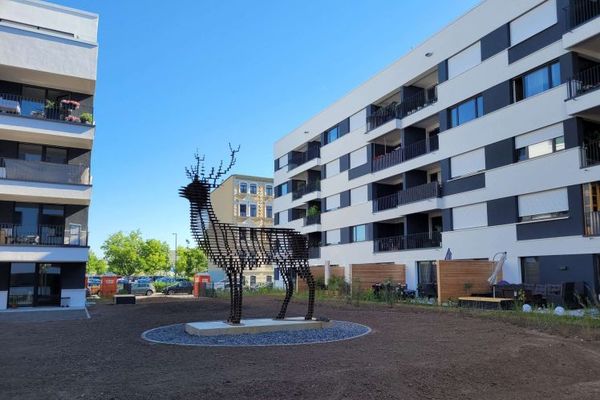 ***TRAUMHAFTE 3 RAUM WOHNUNG IM HIRSCHQUARTIER~BALKON~TIEFGARAGENSTELLPLATZ***