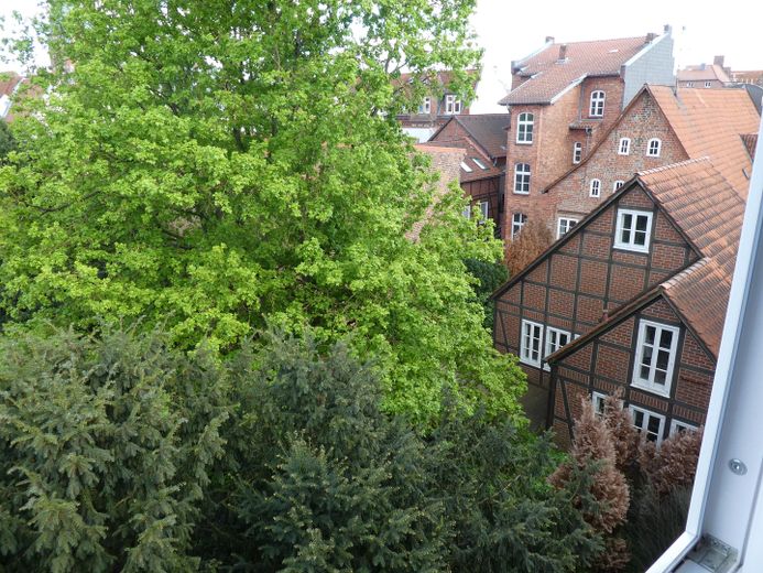 Blick aus der Küche 1