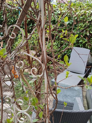 Ruhige Erdgeschosswohnung mit einmaligem Garten in zentraler Lage in der Unterwiehre – Foto 22