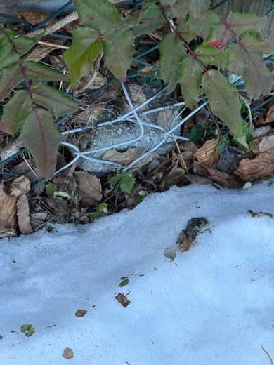 Nicht bauträgergebundenes Grundstück in beliebter Lage! – PHOTO-2026-01-21-14-43-10_1