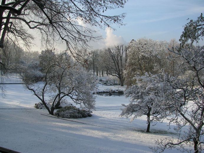 Winter