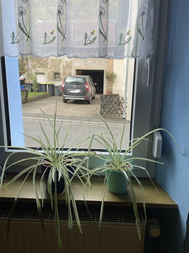 Bilck über Straße zum Hof