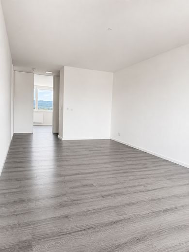 Bezugsfertig- Renoviert mit toller Aussicht-3,5 Zimmer – Wohnen