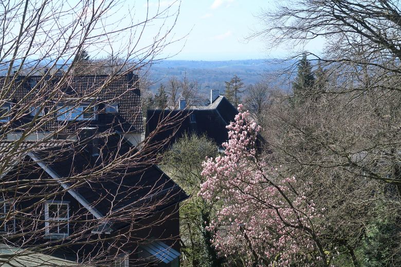 Blick von der Dachterrasse