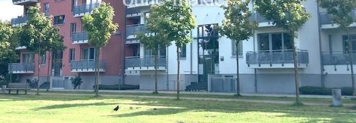 exquisite 4-room apartment in the university district