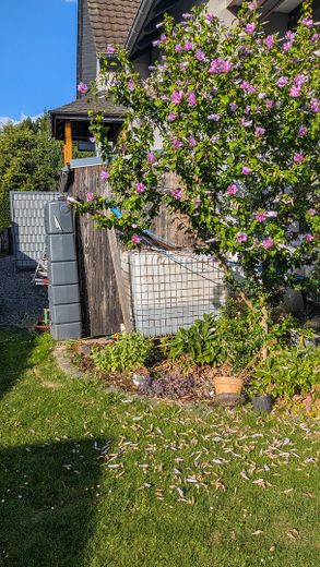 OHNE MAKLER! Freistehendes EFH auf 1.416 m² – seltenes Grundstück in zentraler Lage von Hennef – Foto 16