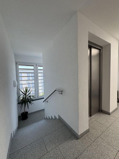 Exklusive 4-Zimmer-Penthouse-Wohnung in der Stadtmitte Offenburg – Treppenhaus/Aufzug