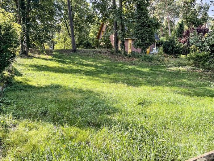 Perfektes Baugrundstück mit geringem Baumbestand – Foto 1