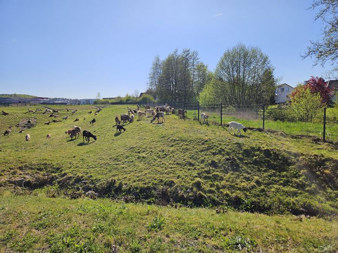 Baugrundstücke im Neubaugebiet Offenbergblick! Keine Provision! Kein Bauzwang! – Mit Blick auf den Tierpark ;-)