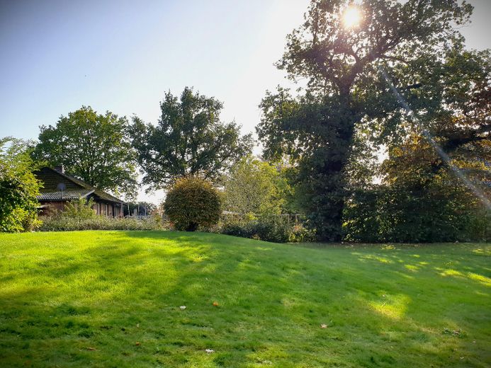 Grundstück mit Parkcharakter