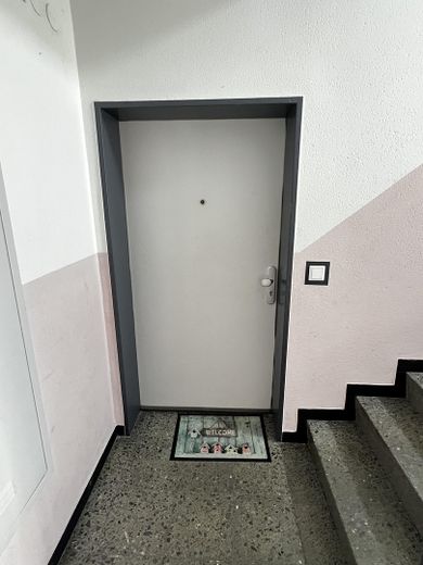 Mehrfamilienhaus in begehrter Lage mit Wertsteigerung durch Ausbaupotenzial – Wohnungstür